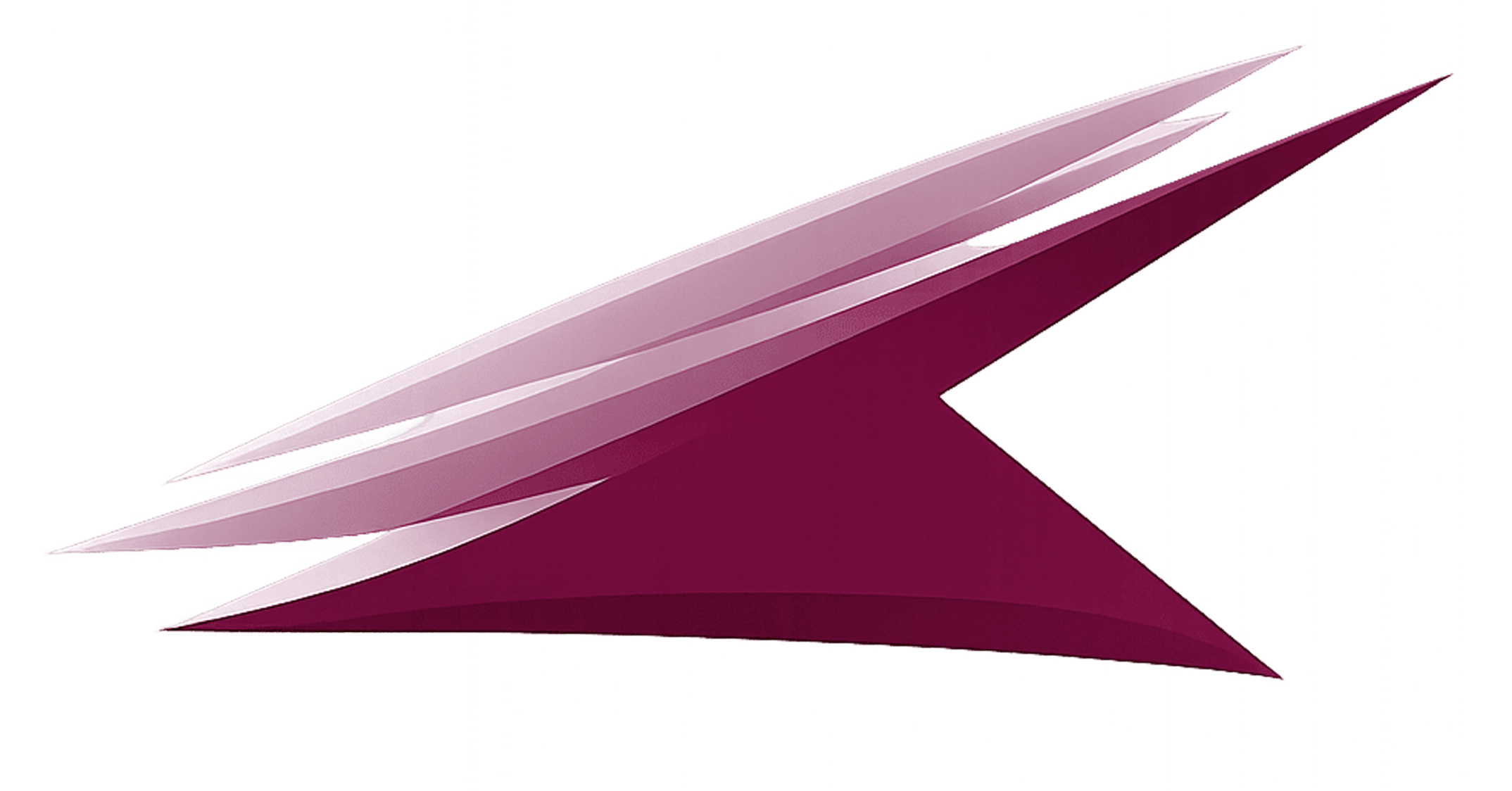 NAPS Logo